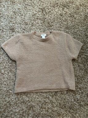 Cozy Taupe Short-Sleeve Fuzzy Top